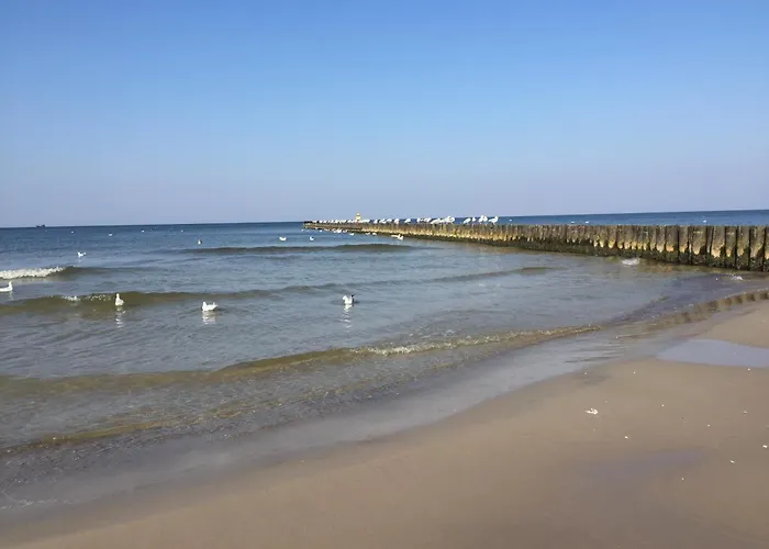 Letniskowe Sosnowo Parterowe Ferienhaus *